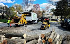 Best Tree Mulching  in Maplewood, MO