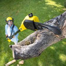 Best Lawn Mowing  in Maplewood, MO